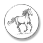 horse racing latest news android application logo